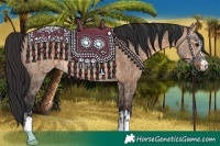 Horse Color:Brown Dun and Brown Dun