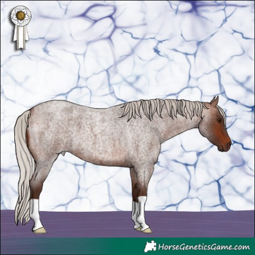 Horse Color:Silver Brown Roan 