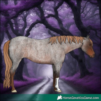 Horse Color:Liver Red Roan 