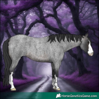 Horse Color:Brown Roan