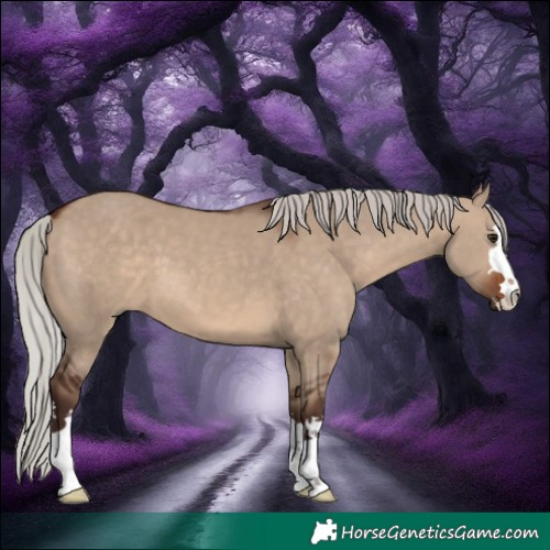 Horse Color:Silver Brown Dun 
