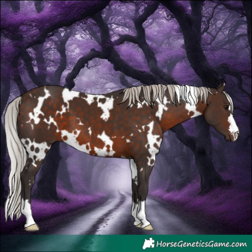 Horse Color:White Spotted Silver Brown 