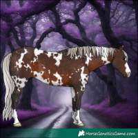 Horse Color:White Spotted Silver Brown 