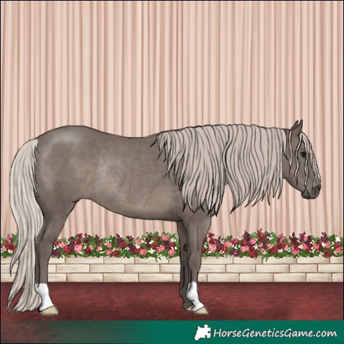Horse Color:Silver Black Rabicano 