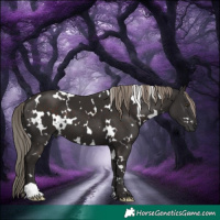 Horse Color:White Spotted Liver Chestnut