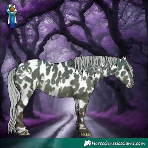 Horse Color:White Spotted Silver Brown Dun Appaloosa 