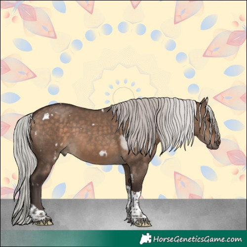 Horse Color:White Spotted Silver Brown Dun Tobiano 