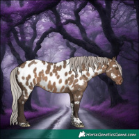 Horse Color:Silver Brown Dun Tobiano Appaloosa