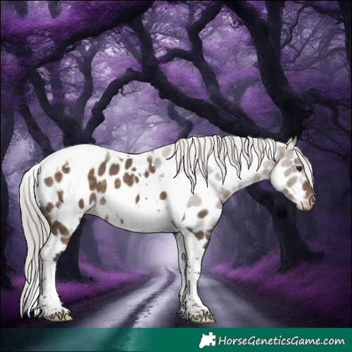 Horse Color:White Spotted Silver Brown Dun Tobiano Appaloosa 
