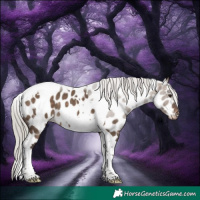 Horse Color:White Spotted Silver Brown Dun Tobiano Near Leopard 