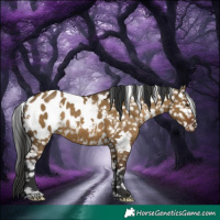 Horse Color:White Spotted Liver Red Dun Appaloosa Rabicano 