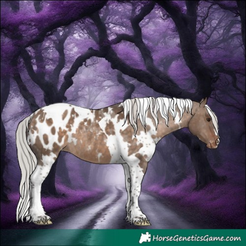 Horse Color:White Spotted Silver Brown Dun Tobiano Appaloosa Rabicano 