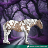 Horse Color:White Spotted Silver Brown Dun Tobiano Appaloosa Rabicano 