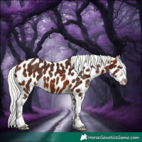 Horse Color:Silver Bay Tobiano Near Leopard