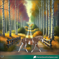 Horse Color:Chestnut Sabino 