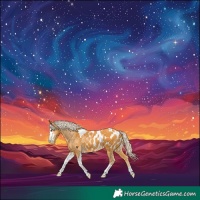 Horse Color:Palomino Sabino Tobiano Appaloosa
