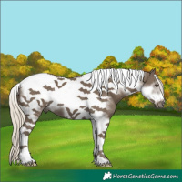 Horse Color:Silver Smoky Black Tobiano Frame 