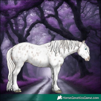 Horse Color:White Spotted Silver Bay Roan Splash Near Leopard Rabicano