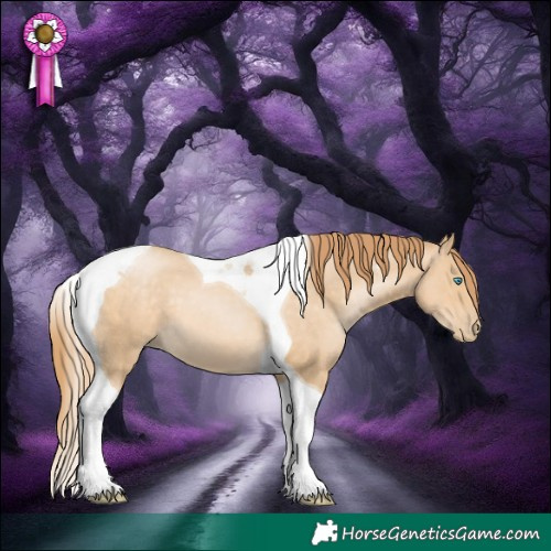 Horse Color:Buckskin Pearl Tobiano