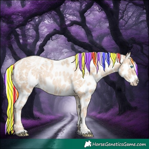 Horse Color:Painted Silver Buckskin Ice Pearl Sabino Appaloosa 