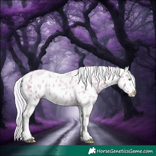 Horse Color:Silver Classic Champagne Roan Dun Near Leopard 