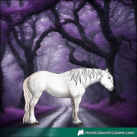 Horse Color:Gray White Spotted Silver Grullo Ice Rabicano