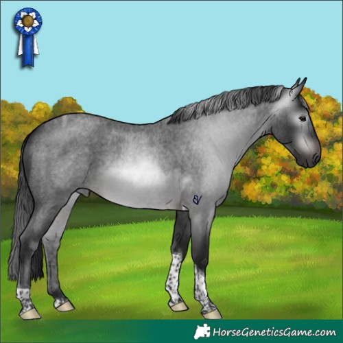 Horse Color:Gray Brown Roan Mushroom Tobiano 