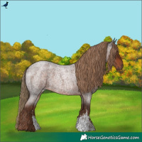 Horse Color:Liver Red Roan Sabino