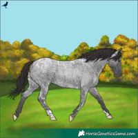 Horse Color:Smoky Blue Ice Roan