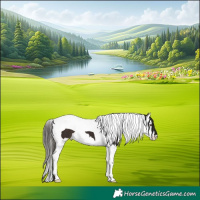 Horse Color:Liver Chestnut Splash Tobiano