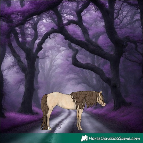 Horse Color:Sable Cream Champagne Roan 