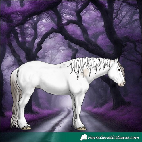Horse Color:Bay Onyx Sabino Splash Tobiano Appaloosa 