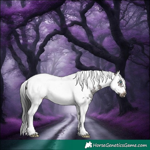 Horse Color:Brown Mushroom Sabino Splash Tobiano Frame 