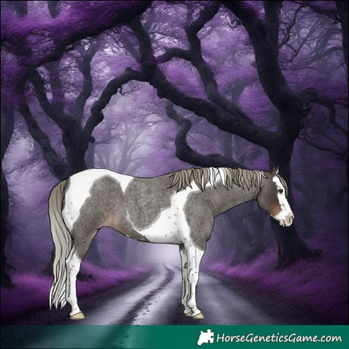 Horse Color:Liver Red Roan Mushroom Splash Tobiano 