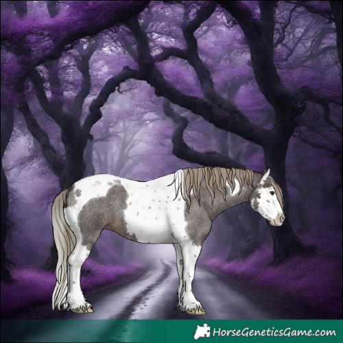 Horse Color:Liver Red Roan Mushroom Splash Tobiano 