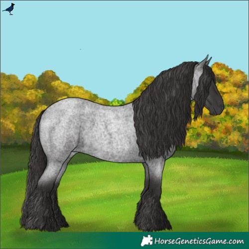 Horse Color:Smoky Blue Roan 