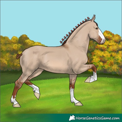 Horse Color:Red Dun 