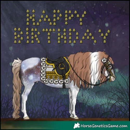 Horse Color:White Spotted Liver Chestnut Tobiano Rabicano 