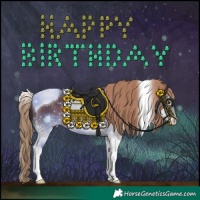Horse Color:White Spotted Liver Chestnut Tobiano Rabicano 