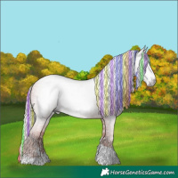Horse Color:Gray Painted Silver Classic Champagne Ice Tobiano Rabicano 