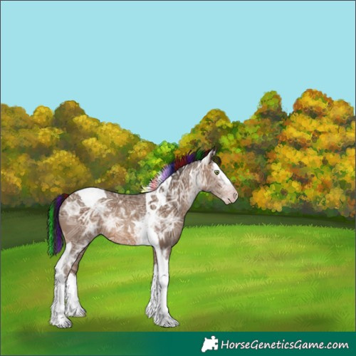 Horse Color:Gray Painted Amber Champagne Ice Splash Tobiano Rabicano