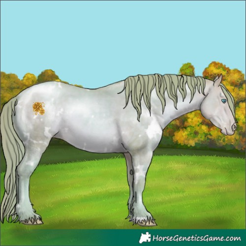 Horse Color:Watercolor White Spotted Buckskin Pearl 