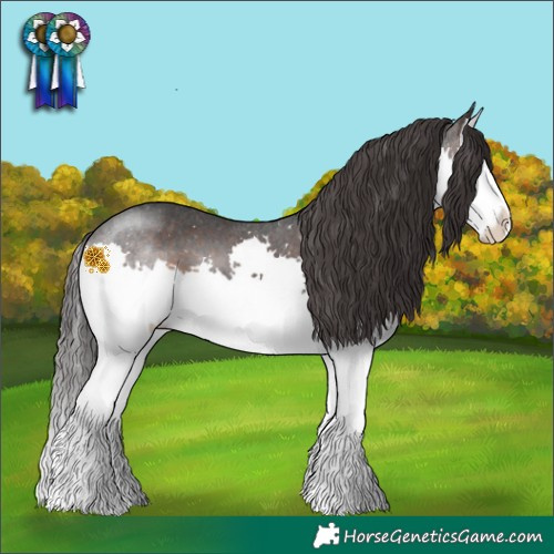 Horse Color:Brown Splash Varnish 