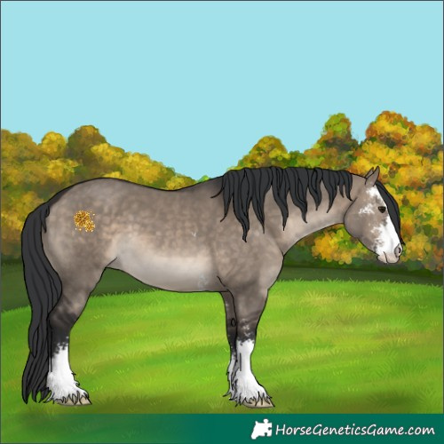 Horse Color:Brown Dun Sabino 