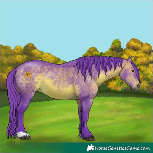 Horse Color:Watercolor Bay 