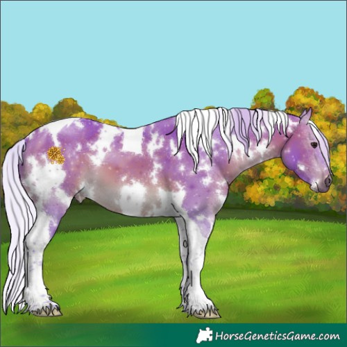 Horse Color:Watercolor White Spotted Silver Brown Tobiano 
