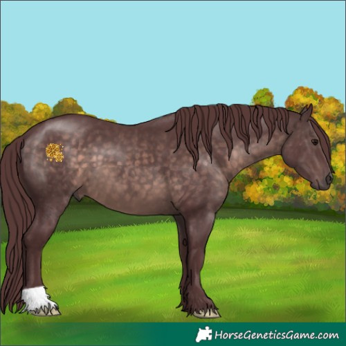 Horse Color:Platinum Chocolate Brown 