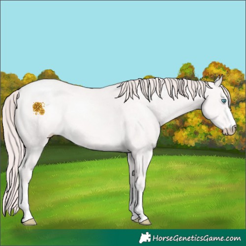 Horse Color:Platinum Chocolate Perlino 