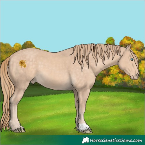 Horse Color:Chocolate Perlino 