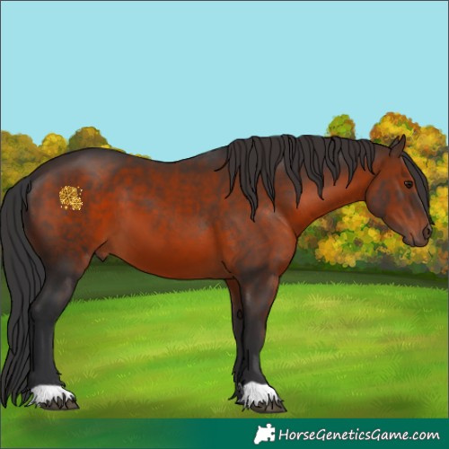 Horse Color:Brown 